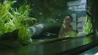 New England Aquarium Visit