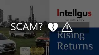 hamerfinance com review is hamerfinance com legit or scam