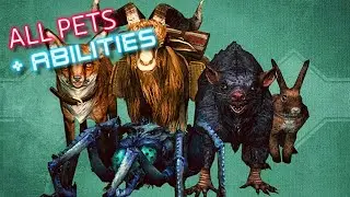 Skyrim Anniversary Edition - Pets of Skyrim
