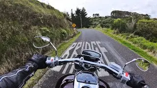 Discover the TOP Secret Back Roads in Taranaki Now! 4K Video