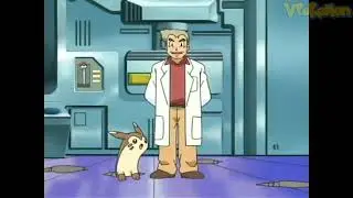 Furret attacks Professor Oak | Professor Oak Funny Moments