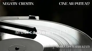 Negativ Crestin - Amira din Barbulesti  - Cine ar putea!? (instrumental oficial Muzica Domnului)