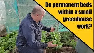 Does No Dig work in a Small Greenhouse bed?