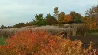 CBG Autumn 09