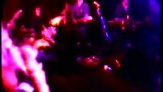 マライの號 - TOKYO SKA PARADISE ORCHESTRA