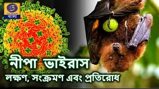 বিষয় : নিপা ভাইরাসের  প্রতিরোধের নিরাপদ জীবনশৈলী | @DDBanglaTV #ddbangla