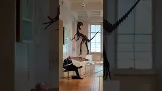 Neovenator Dinosaur Bones Leicester Museum & Art Gallery