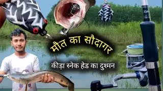 Big Size Snakehead Catch🐸 | with Frog |🐸 | how to catch snake head with frog🐢🐠🐠🔥