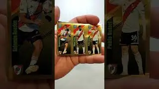 2024 Panini FIFA 365 stickers