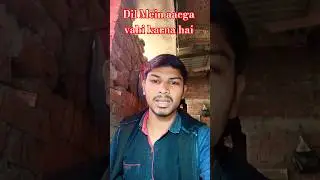 Jo Dil Mein aaega vahi karna hai