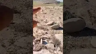 كنوز تونس