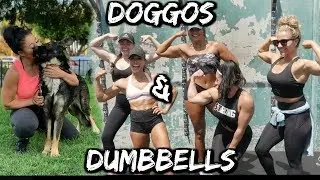 Doggies and Dumbbells