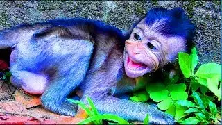 Ah !! Baby angry mum much convulsive but not pity why, Baby hungry mommy doesn't want breast cos too