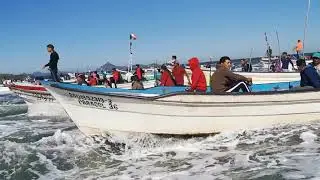 el huitussi Guasave Sinaloa 🍅