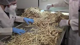 Quality Control: Foreign Matter Testing