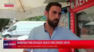 #Darende 'nin Kenger Sakızı Her Derde Deva