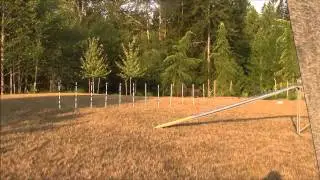 ICE:  Weave entries from running Dog Walk and A-Frame 2-Aug-15