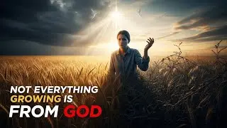Not Everything Growing Is From God (This Will Test Your Discernment)