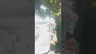 ACARA HATAMAN di KABUPATEN SITUBONDO bagian PELLIAN BARAT