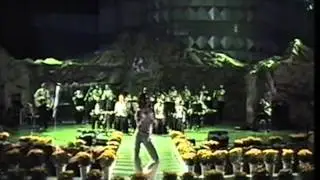 Ralitsa Kovacheva Bejan in Woobang Tower Land, South Korea 2004