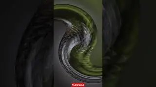 Pulsar 150 neon bs6🔥🔥new model bs6 2021! WhatsApp status! black bike status#shorts