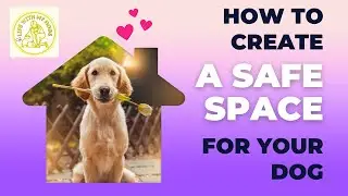 How To Create A Safe Space For Your Dog