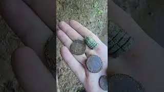 FREAKING OUT #spanish #Double2reales #oldsilver #coins #treasurehunting #treasure #metaldetecting