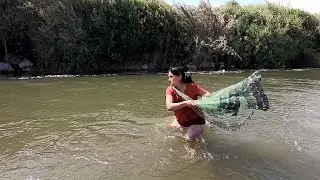 Así PESCA en el  Río con Atarraya esta Mujer -- Pesca de Camarón