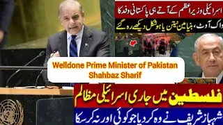 Israel's Prime Minister in UN | Pakistani Delegation Walkout During Netanyahu Speech#UNGA79