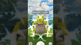 OMG!! SHINY GROUDON AFTER 26 RAIDS FROM PRIMAL RAID #shorts #pokemongo #primalgroudon