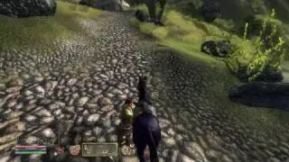 Oblivion with high res texture pack