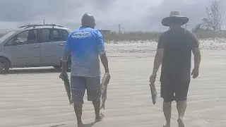 Pescaria da tainha na praia de Ilha Comprida SP 