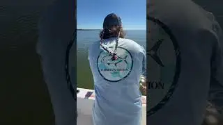 Caught a lady and used it to get a snook!