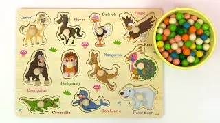 Apprendre les animaux en fran&ccedil;ais
