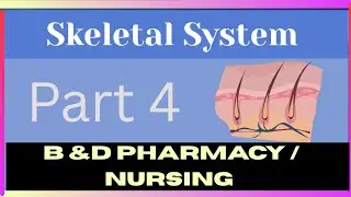 Skeletal Systems | PART 4 | Sources Of Energy For Muscles Contractions ✅ 2024-25