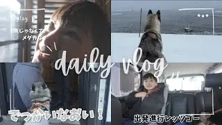 【あけおめことよろ】年末年始を楽しんだ子＆初めての遠出に怯える犬