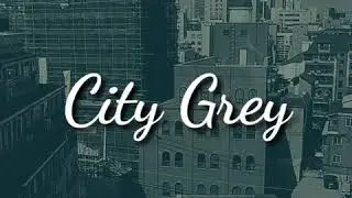 City Grey - birdlee8