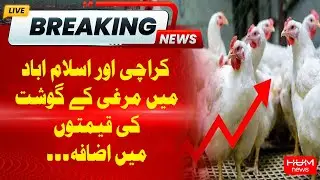 Chicken Meat Prices Increase in Karachi and Islamabad