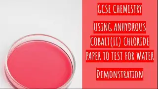 DEMONSTRATING THE COBALT(II) CHLORIDE TEST FOR WATER (GCSE CHEMISTRY)