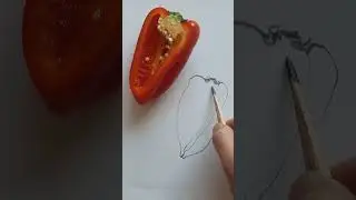Half Red Pepper Drawing, Detailed Guide