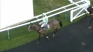 &pound;125k buy Diamant Dore wins by half the track on debut | Racing TV