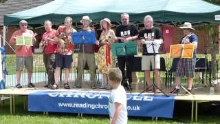Reading Ukulele Group (RUG) at the Holybrook Festival, Reading, 22 June 2014