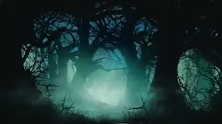 Celtic Instrumental Music - Darkwood Forest