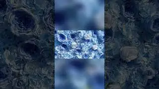 AliFlowers Wedding Backdrop Decor 3D Blue Peony with Hydrangea