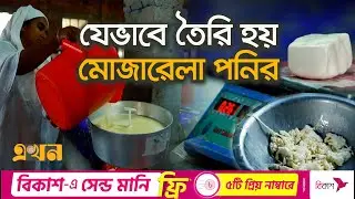 ঠাকুরগাঁওয়ে বাণিজ্যিক ভাবে তৈরি হচ্ছে পনির | Cheese Factory | Documentary Of Thakurgaon