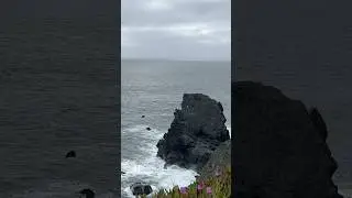 Waves & Cliffs Near Point Bonita | Ocean Sounds 4 Relaxation #CoastalCalifornia #PacificOceanSounds