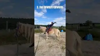 😱🤣#Pferd #Pferde #Horse #Horses #Funny #Spa&szlig; #Pferdewissen #Allg&auml;u #Bayern #Deutschland #Urlaub ￼