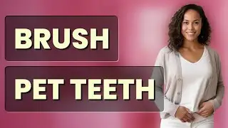 Is Brushing Your Pet&rsquo;s Teeth Essential for Their Health?