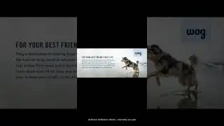 Boost Your Dogs Digestion with Wag Probiotic Chews - Natural Duck Flavor - 90 Count