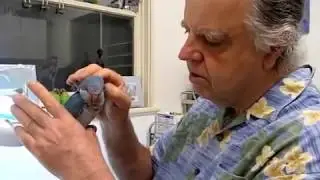Quaker Parrot Blue Bird Sick #2 211010